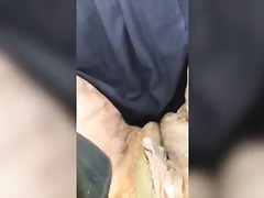 Ma grosse chatte dans la nature