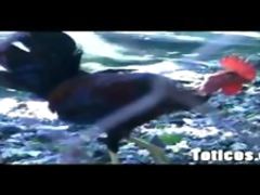 Phat booty Dominican chick throats a black cock and swallows cum